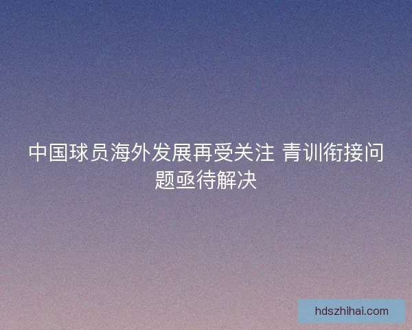 中国球员海外发展再受关注 青训衔接问题亟待解决